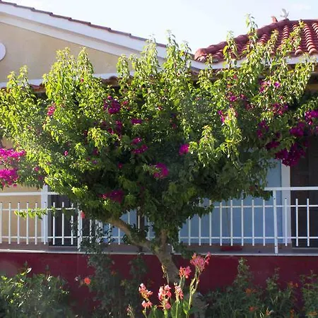 Jimmy'S Sea View Studios * Planos (Zakynthos)